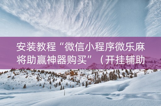 安装教程“微信小程序微乐麻将助赢神器购买”（开挂辅助插件)