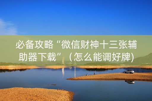 必备攻略“微信财神十三张辅助器下载”（怎么能调好牌)