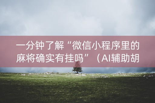 一分钟了解“微信小程序里的麻将确实有挂吗”（AI辅助胡牌规则)