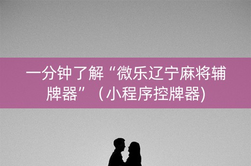 一分钟了解“微乐辽宁麻将辅牌器”（小程序控牌器)