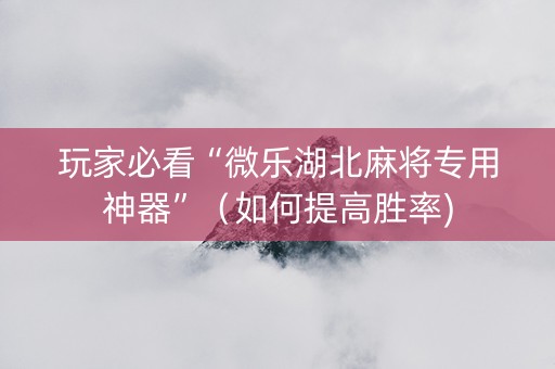 玩家必看“微乐湖北麻将专用神器”（如何提高胜率)