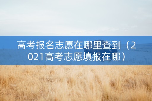 高考报名志愿在哪里查到（2021高考志愿填报在哪）