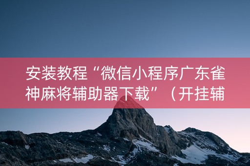 安装教程“微信小程序广东雀神麻将辅助器下载”（开挂辅助插件)