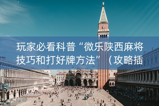 玩家必看科普“微乐陕西麻将技巧和打好牌方法”（攻略插件)