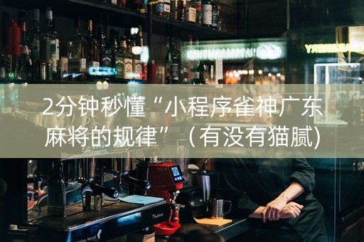 2分钟秒懂“小程序雀神广东麻将的规律”（有没有猫腻)