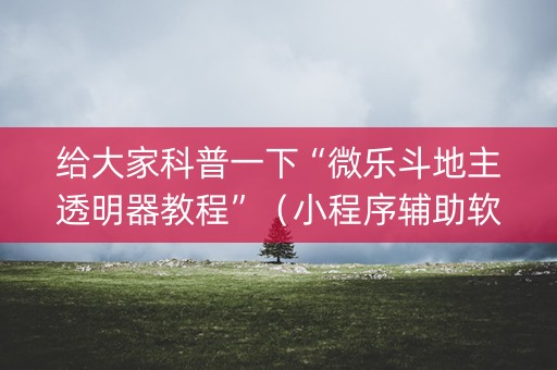 给大家科普一下“微乐斗地主透明器教程”（小程序辅助软件)