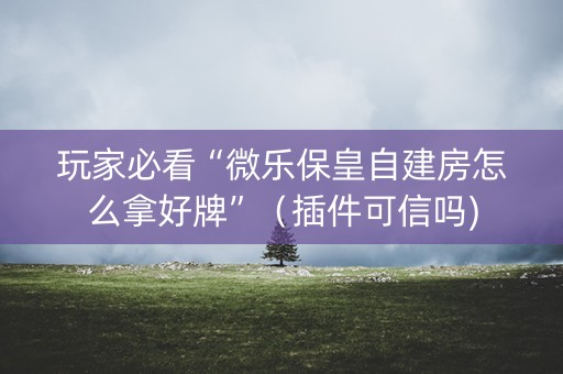 玩家必看“微乐保皇自建房怎么拿好牌”（插件可信吗)