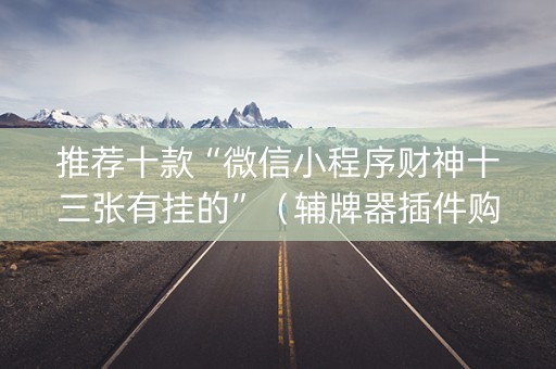 推荐十款“微信小程序财神十三张有挂的”（辅牌器插件购买)