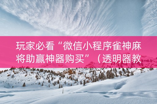 玩家必看“微信小程序雀神麻将助赢神器购买”（透明器教程)
