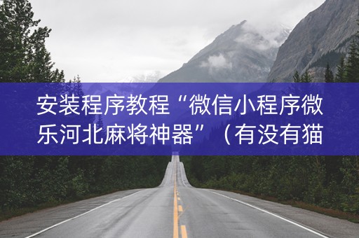 安装程序教程“微信小程序微乐河北麻将神器”（有没有猫腻)