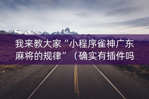 我来教大家“小程序雀神广东麻将的规律”（确实有插件吗)