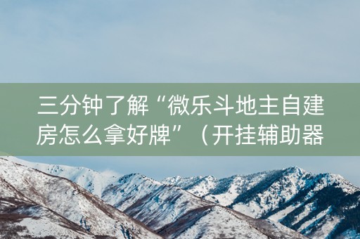 三分钟了解“微乐斗地主自建房怎么拿好牌”（开挂辅助器脚本)