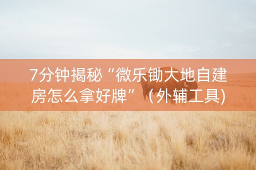 7分钟揭秘“微乐锄大地自建房怎么拿好牌”（外辅工具)