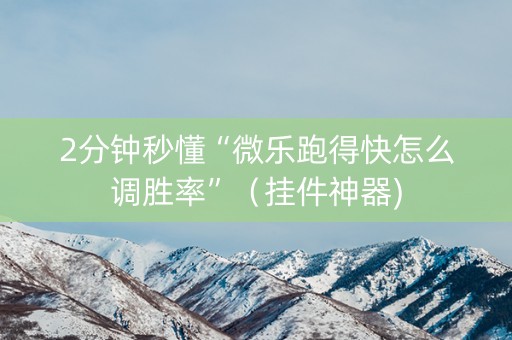 2分钟秒懂“微乐跑得快怎么调胜率”（挂件神器)