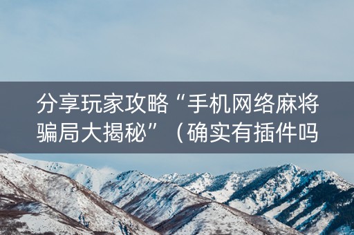 分享玩家攻略“手机网络麻将骗局大揭秘”（确实有插件吗)