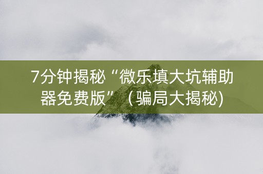 7分钟揭秘“微乐填大坑辅助器免费版”（骗局大揭秘)