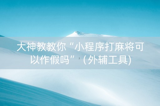 大神教教你“小程序打麻将可以作假吗”（外辅工具)