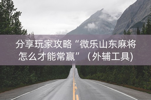 分享玩家攻略“微乐山东麻将怎么才能常赢”（外辅工具)