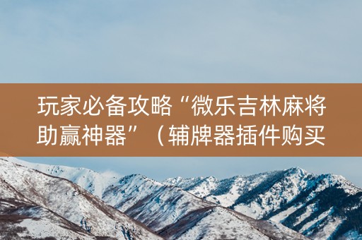玩家必备攻略“微乐吉林麻将助赢神器”（辅牌器插件购买)