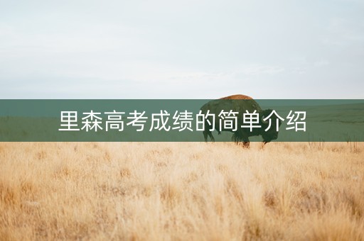 里森高考成绩的简单介绍