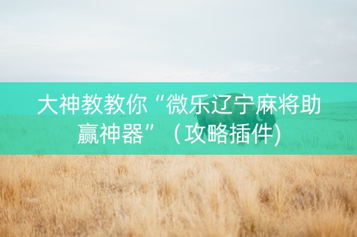 大神教教你“微乐辽宁麻将助赢神器”（攻略插件)