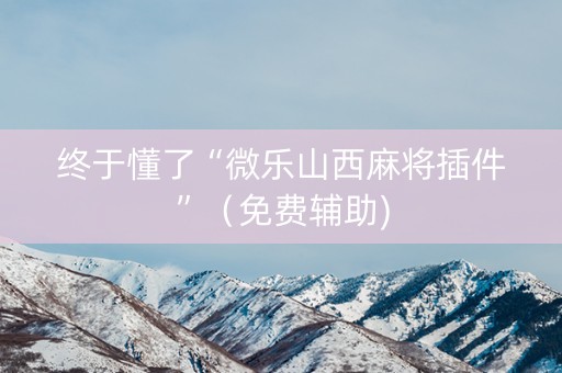 终于懂了“微乐山西麻将插件”（免费辅助)