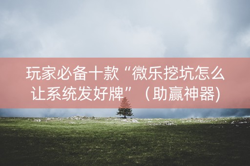 玩家必备十款“微乐挖坑怎么让系统发好牌”（助赢神器)