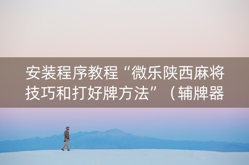 安装程序教程“微乐陕西麻将技巧和打好牌方法”（辅牌器插件购买)