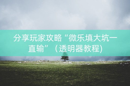 分享玩家攻略“微乐填大坑一直输”（透明器教程)