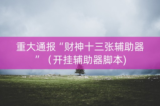 重大通报“财神十三张辅助器”（开挂辅助器脚本)