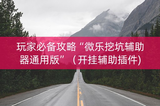 玩家必备攻略“微乐挖坑辅助器通用版”（开挂辅助插件)