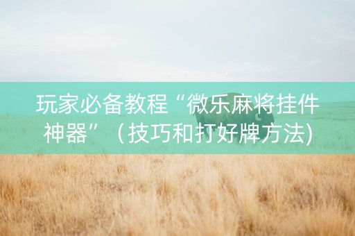 玩家必备教程“微乐麻将挂件神器”（技巧和打好牌方法)