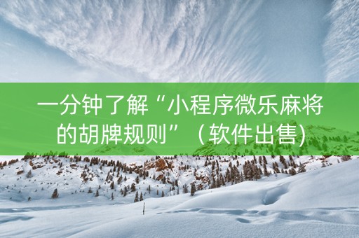一分钟了解“小程序微乐麻将的胡牌规则”（软件出售)