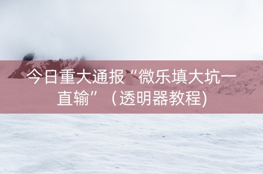今日重大通报“微乐填大坑一直输”（透明器教程)