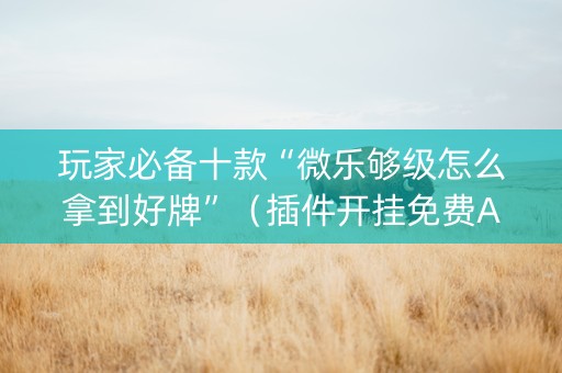 玩家必备十款“微乐够级怎么拿到好牌”（插件开挂免费AI)