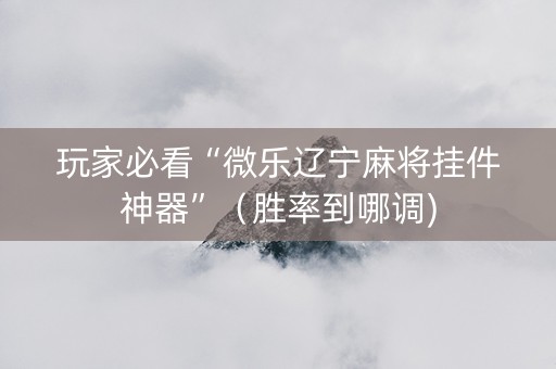 玩家必看“微乐辽宁麻将挂件神器”（胜率到哪调)