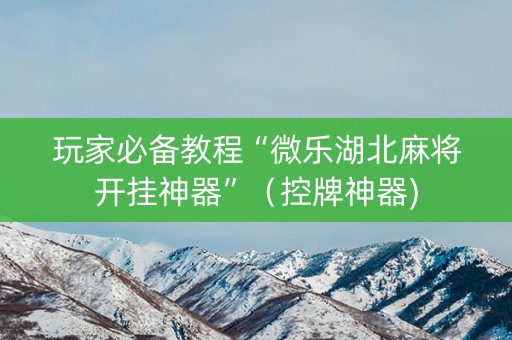 玩家必备教程“微乐湖北麻将开挂神器”（控牌神器)