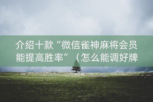 介绍十款“微信雀神麻将会员能提高胜率”（怎么能调好牌)