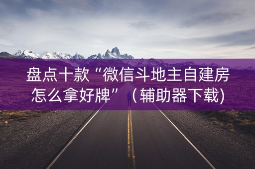 盘点十款“微信斗地主自建房怎么拿好牌”（辅助器下载)