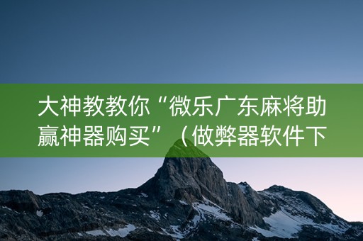 大神教教你“微乐广东麻将助赢神器购买”（做弊器软件下载)