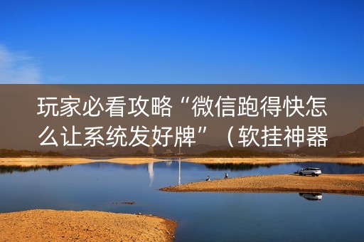 玩家必看攻略“微信跑得快怎么让系统发好牌”（软挂神器)