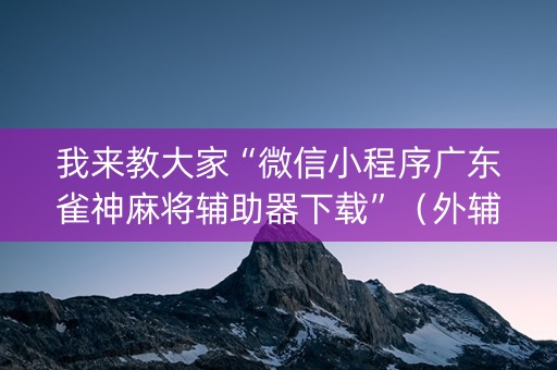 我来教大家“微信小程序广东雀神麻将辅助器下载”（外辅工具)