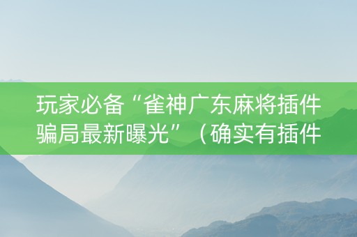 玩家必备“雀神广东麻将插件骗局最新曝光”（确实有插件吗)