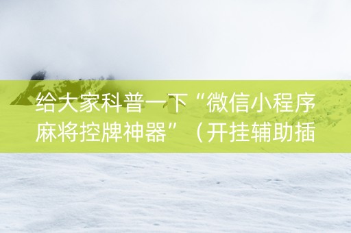 给大家科普一下“微信小程序麻将控牌神器”（开挂辅助插件)