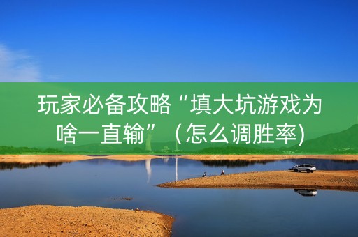 玩家必备攻略“填大坑游戏为啥一直输”（怎么调胜率)