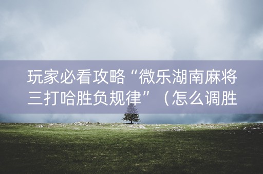 玩家必看攻略“微乐湖南麻将三打哈胜负规律”（怎么调胜率)