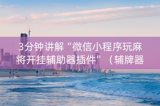 3分钟讲解“微信小程序玩麻将开挂辅助器插件”（辅牌器插件购买)