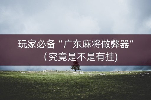 玩家必备“广东麻将做弊器”（究竟是不是有挂)