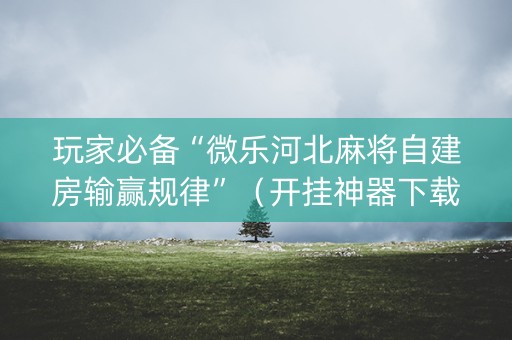 玩家必备“微乐河北麻将自建房输赢规律”（开挂神器下载)