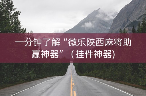 一分钟了解“微乐陕西麻将助赢神器”（挂件神器)